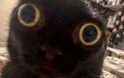 Pessoal do Discord v2.0